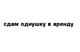 сдам однушку в аренду